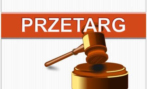 Zdjęcie do I (pierwszy) ustny przetarg nieograniczony (licytację) na najem lokalu użytkowego - budynku przystani kajakowej położonego na terenie Bulwar&oacute;w nad Bzurą 