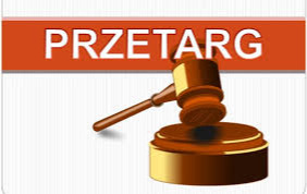 II (drugi) ustny przetarg nieograniczony (licytację) na najem lokalu użytkowego - budynku przystani kajakowej położonego na terenie Bulwarów nad Bzurą w Sochaczewie przy ul. Stanisława Moniuszki 15